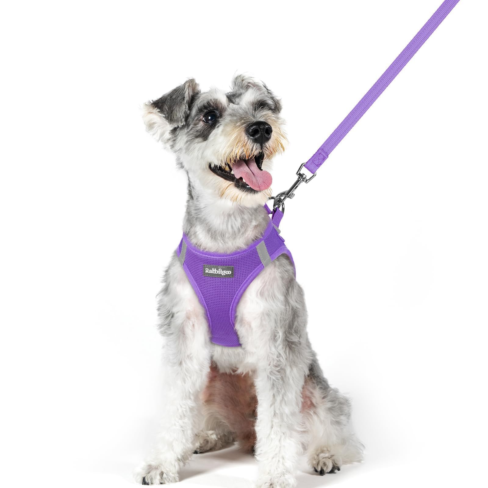 rabbitgoo Dog Harness Medium Sized and Leash Set, Step-in Puppy Pet Vest