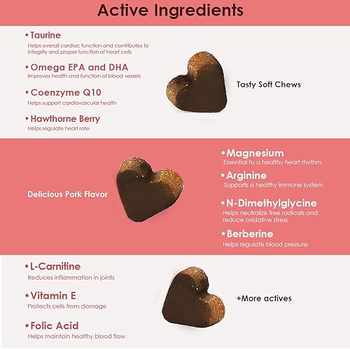 Miniatura 2 de Cardio MAX Suplemento de apoyo cardíaco para perros  L-taurina, L-carnitina, EPA y DHA, coenzima Q10  Ayuda a la fuerza circulatoria, apoyo