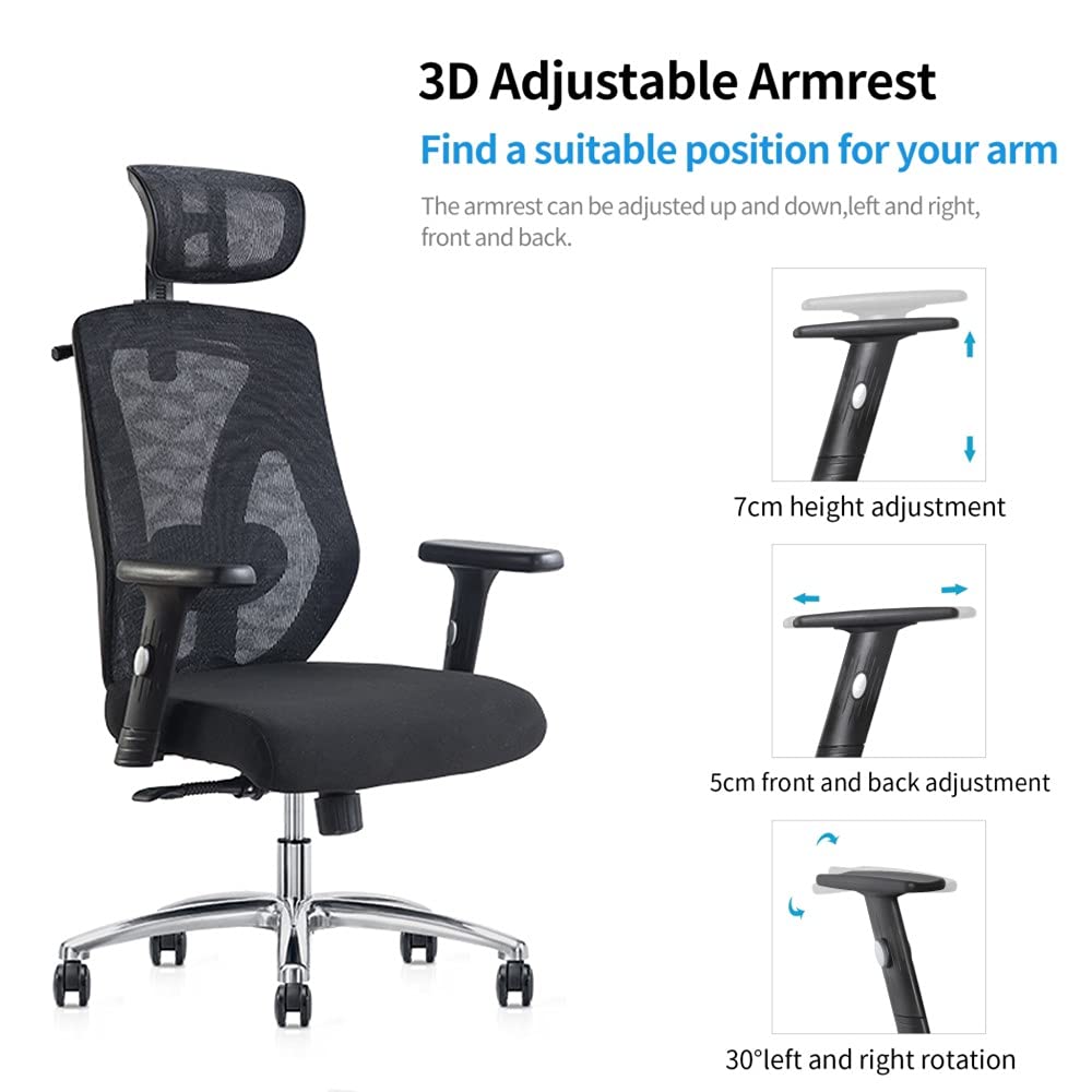 Cedric Ergonomic Adjustable Office Chair with Adjustable Lumbar Support