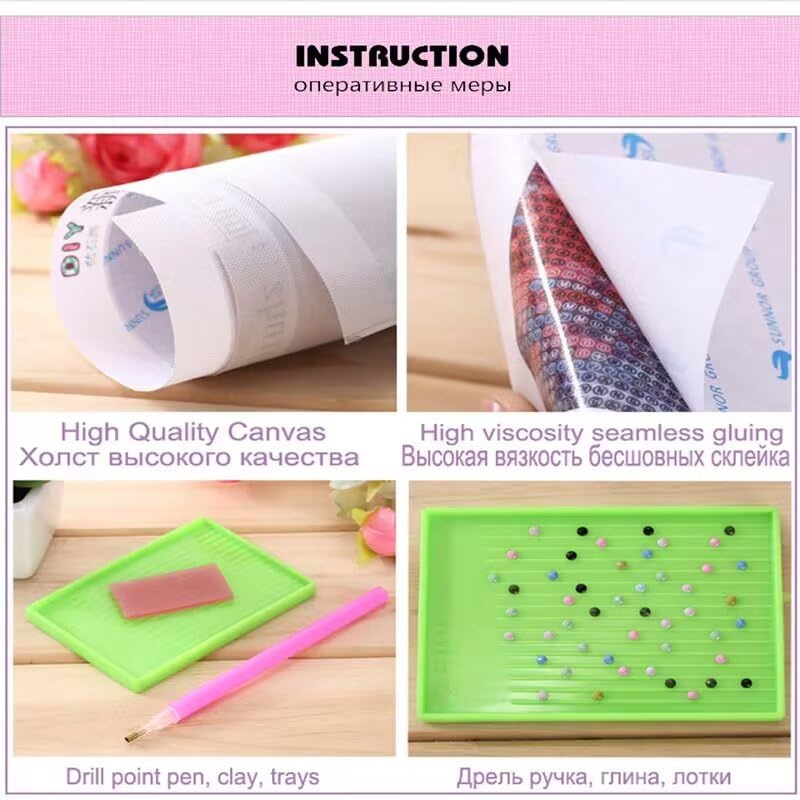 5D Diamond Painting Kits voor volwassenen, DIY