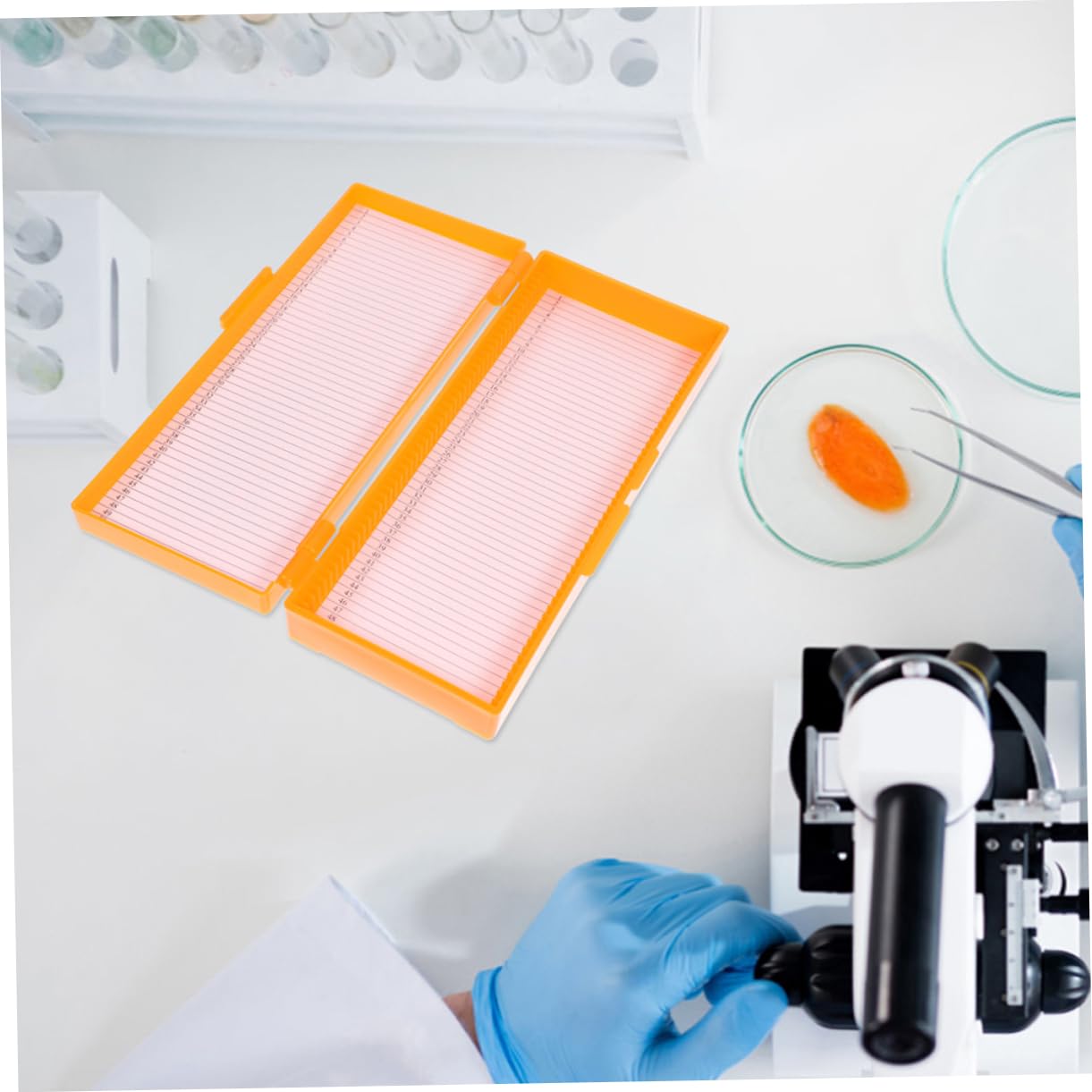 CHILDWEET 2pcs Boxes Slide Box Slides Microscope Slide Plates Microscope Slide Holder Microscope Slide Tray Microscope Slide Storing Tool Microscope Slide Storage Tray Abs Orange