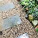 FANTIAN 5 lbs Aquarium Gravel, Pea Gravel for Fish Tank,1/4 Inch Decorative River Rocks for Aquarium Succulent Vase Plant Soil Cover and Outdoor Landscaping