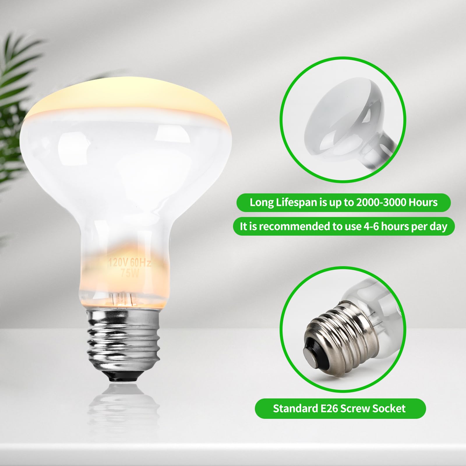 MCLANZOO Lámpara de calor para reptiles de 75 W, paquete de 2, bombillas UVA, lámpara de calor de terrario de luz diurna natural para dragón barbudo, tortuga, tortuga, lagarto, serpiente, geco, pollo