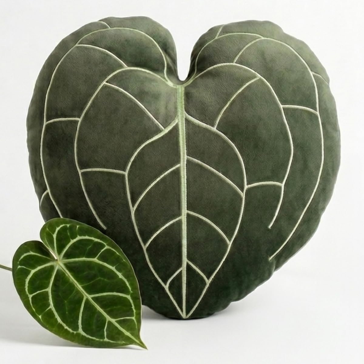Green Philosophy Co. Plush Succulent Leaf Pillow 3D Accent Anthurium Warocqueanum Plant Throw Pillows for Couch Sofa Living Room Home Decor for Plant & Garden Lovers, Green Thumb Family & Friends: Anthurium Clarinervum - Khaki