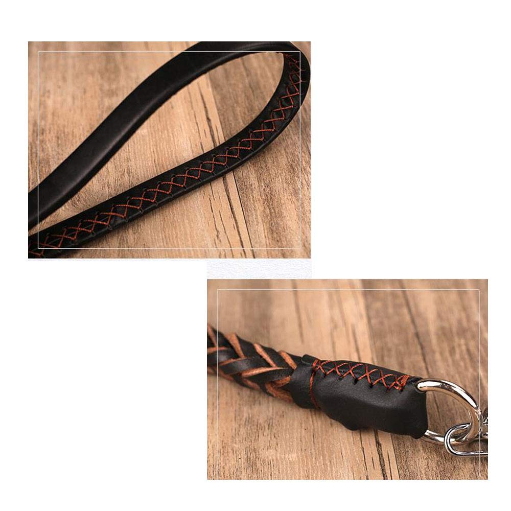REYG Corde De Laisse pour Animaux De Compagnie à Main,Blue