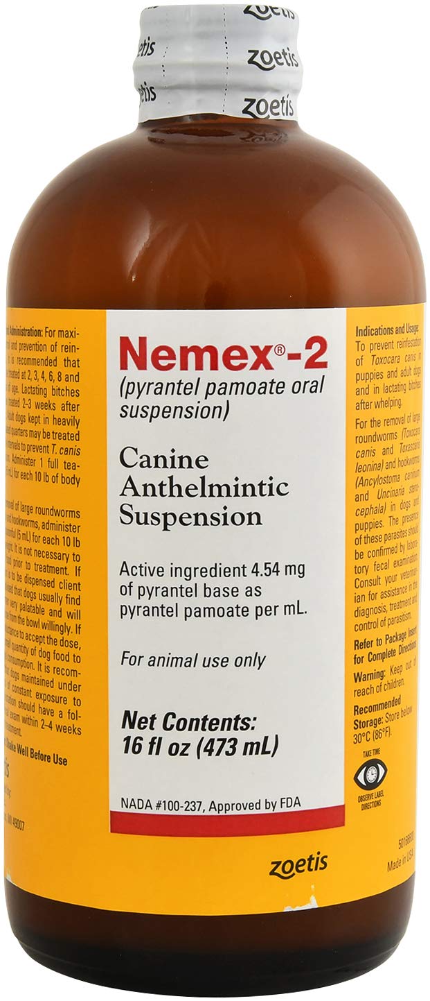 macaws and parrots store