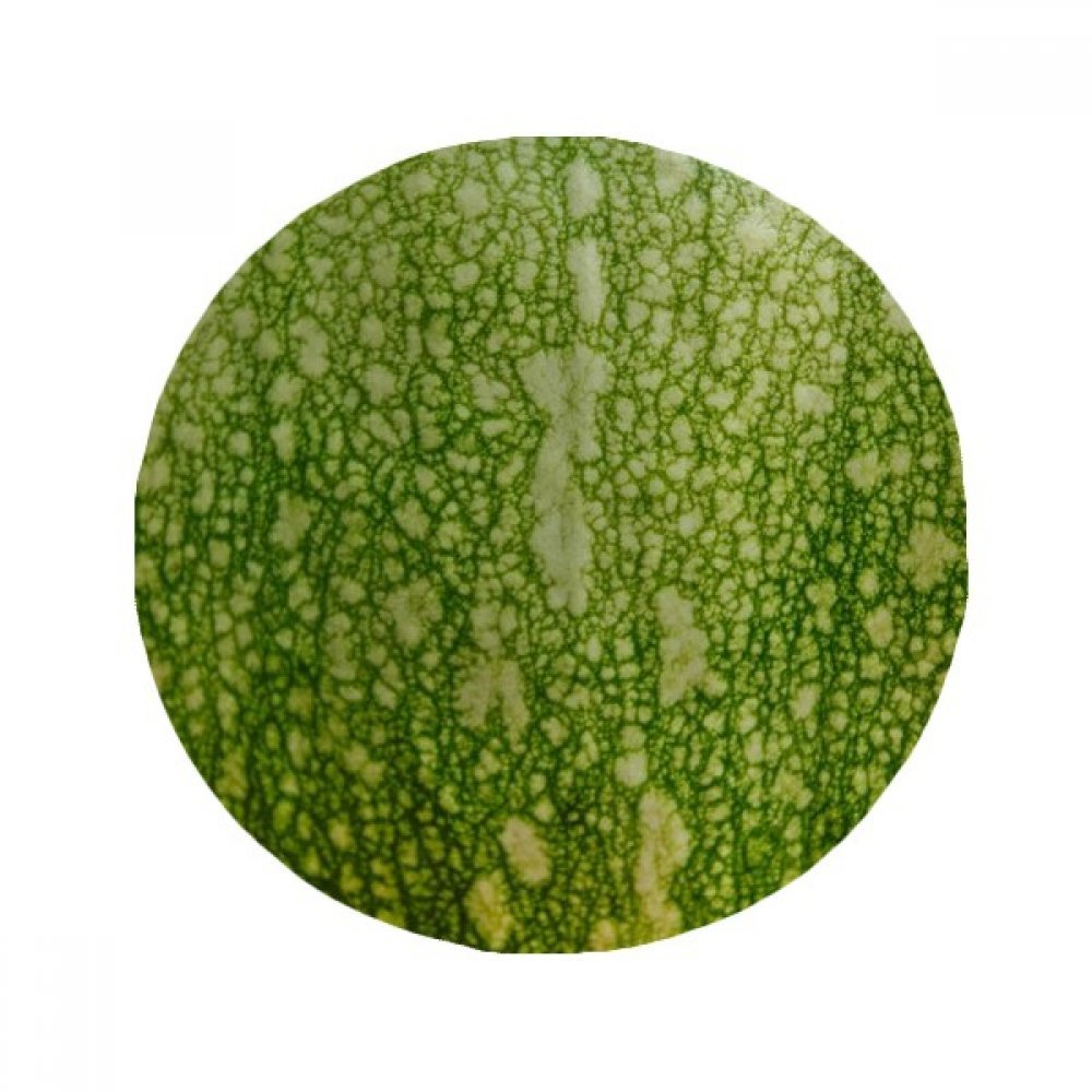 Tapis de cuisine rond citrouille verte pour entrée et salle de bain