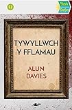 Stori Sydyn: Tywyllwch y Fflamau (Welsh Edition)