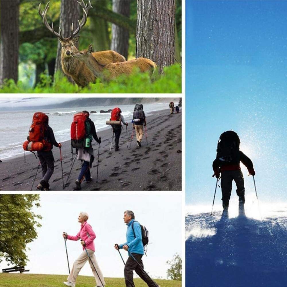 Ultralekki aluminiowy kij trekkingowy, 5-sekcyjny składany kij do wspinaczki górskiej na świeżym powietrzu, przenośny sprzęt do wspinaczki, dłoń, modny Chaser of Light