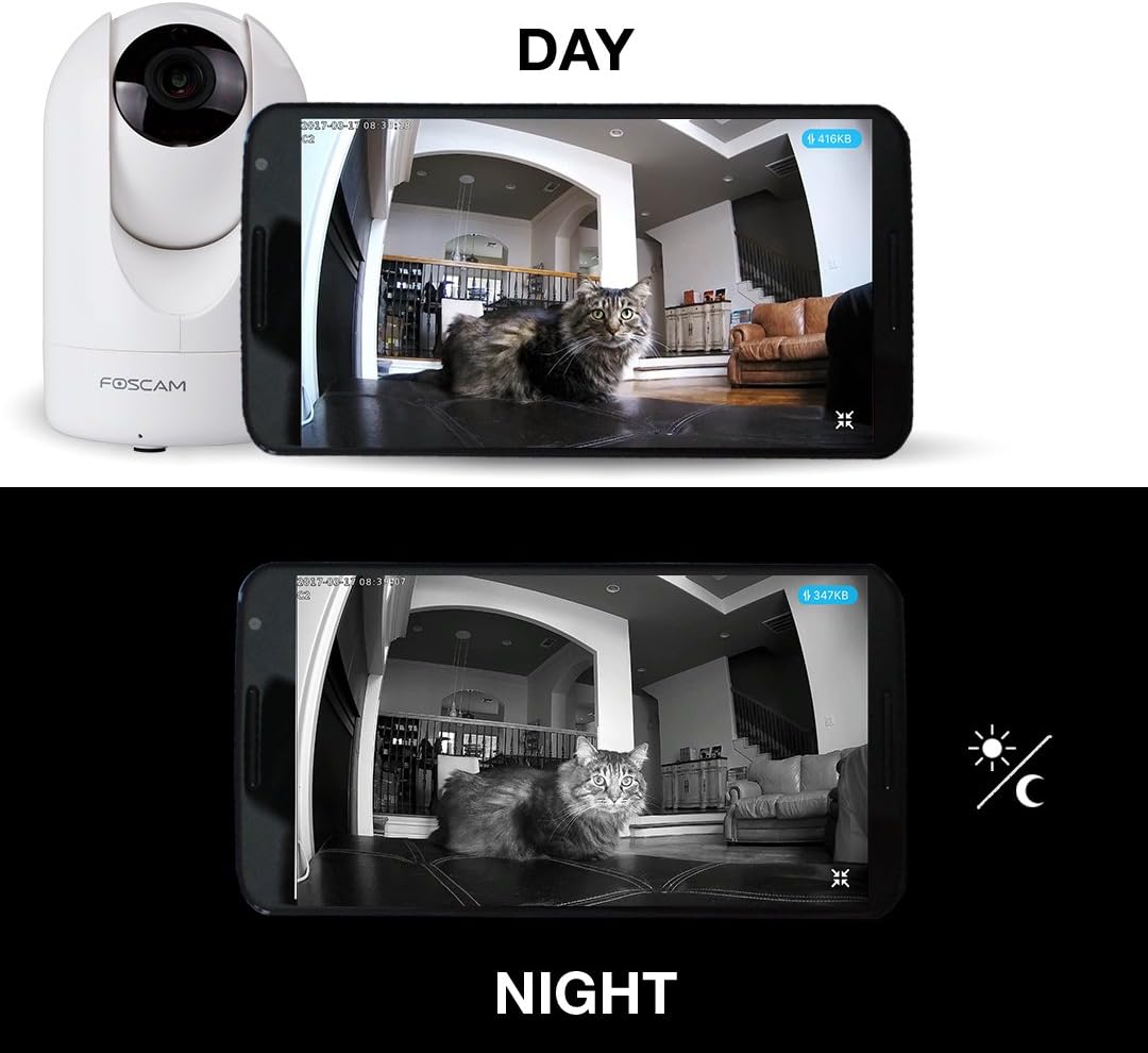 Comparison of Foscam R2 camera view during day and night, showing color and black and white infrared modes.