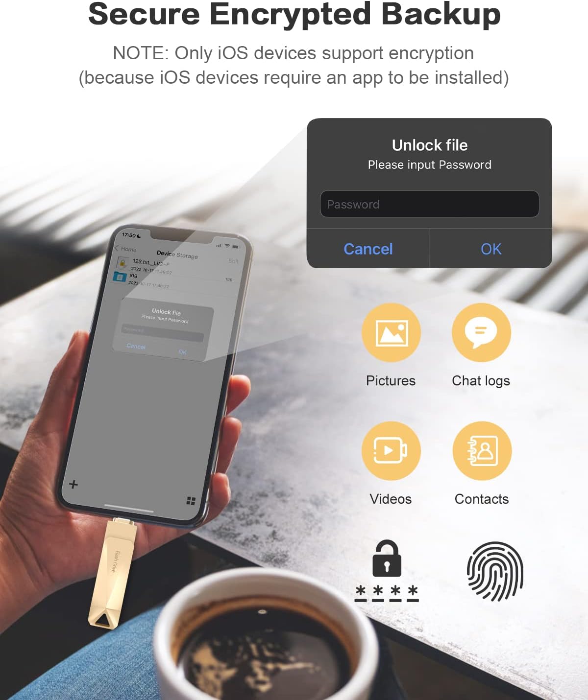 Screenshot of an iOS device showing a password prompt for encrypted files on the flash drive