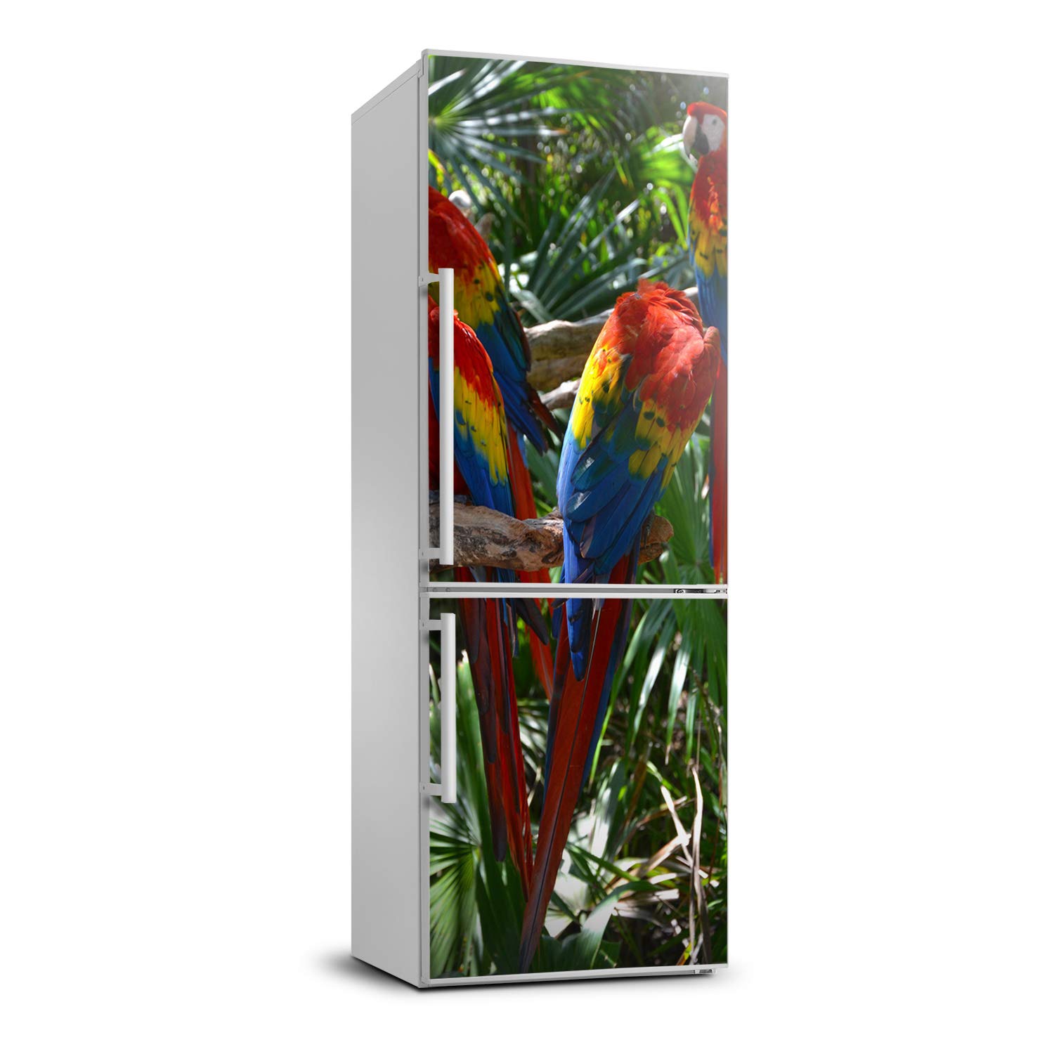 Autocollant frigo perroquets aras 70x190 adhésif pour sticker cuisine