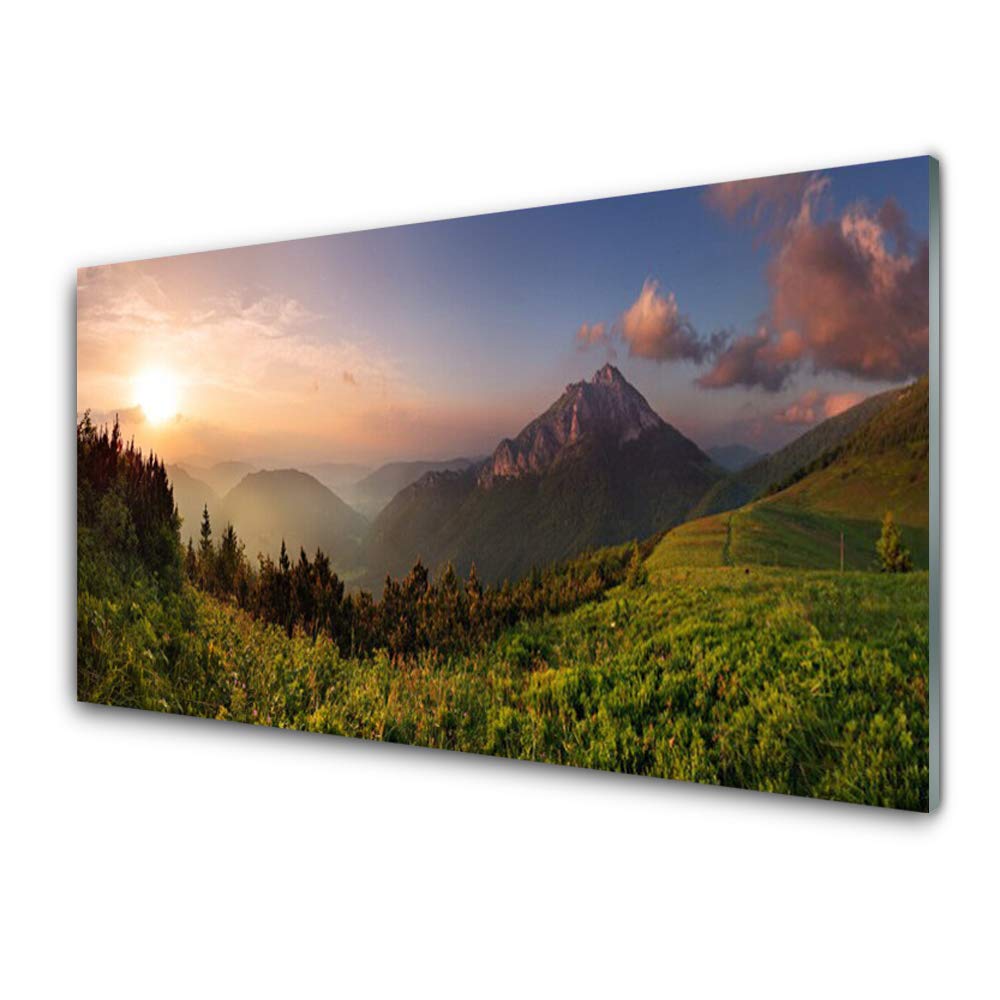 Tableau mural nature en verre acrylique 100x50cm Tulup pour salon