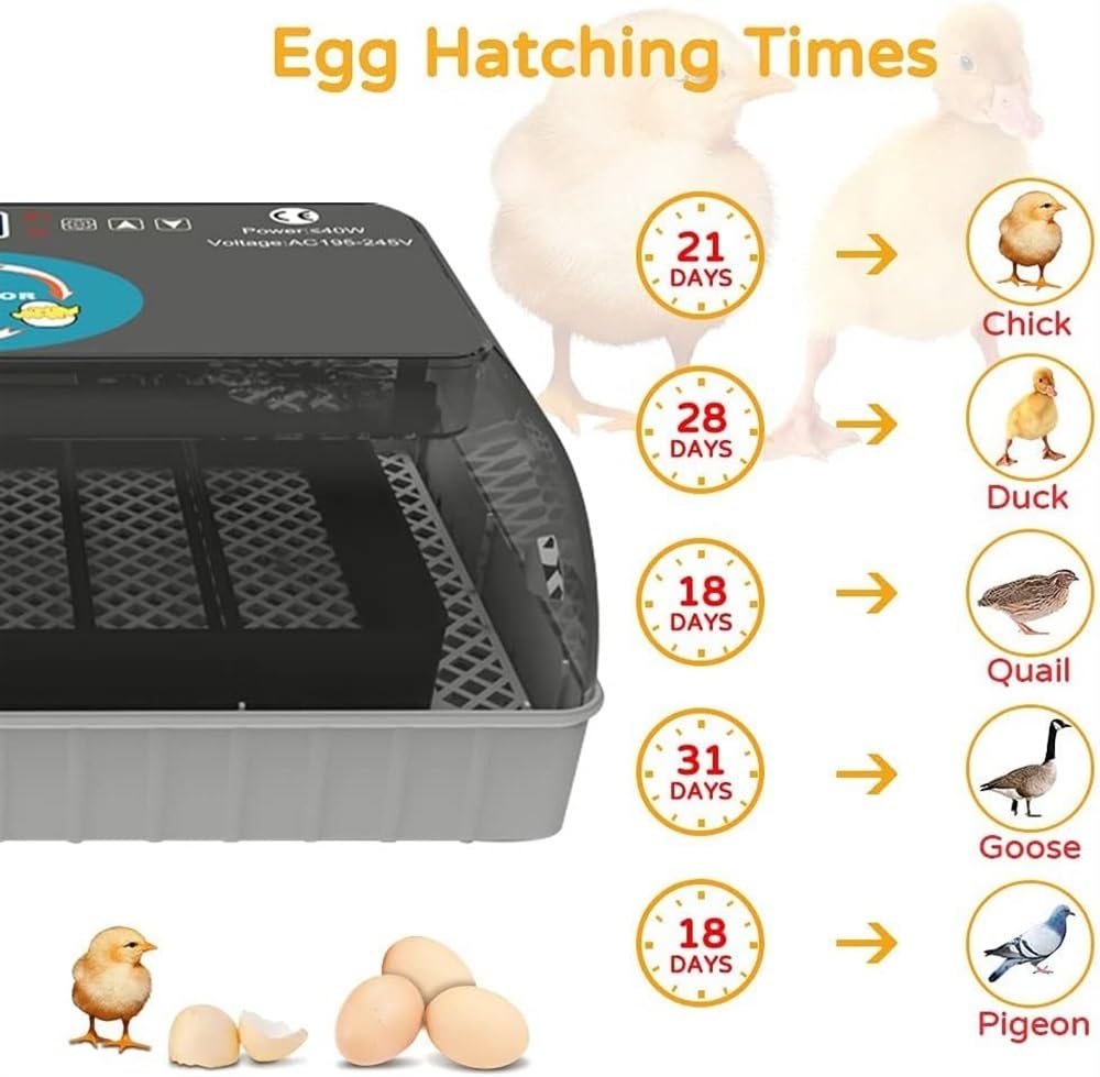 Mini Brooder 12 Inkubator do jaj Temperatura Automatyczna kontrola Wylęgarnia z cyfrowym ekranem LED Maszyna do wylęgu drobiu Narzędzie do wylęgania kaczek Inkubator dla ptaków dla kurczaka Przepiórka