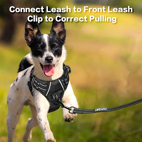 Miniatura 4 de PoyPet Arnés para perro sin tirones, chaleco reflectante con clip frontal sin estrangulamiento, mango vertical acolchado suave, 3 accesorios para