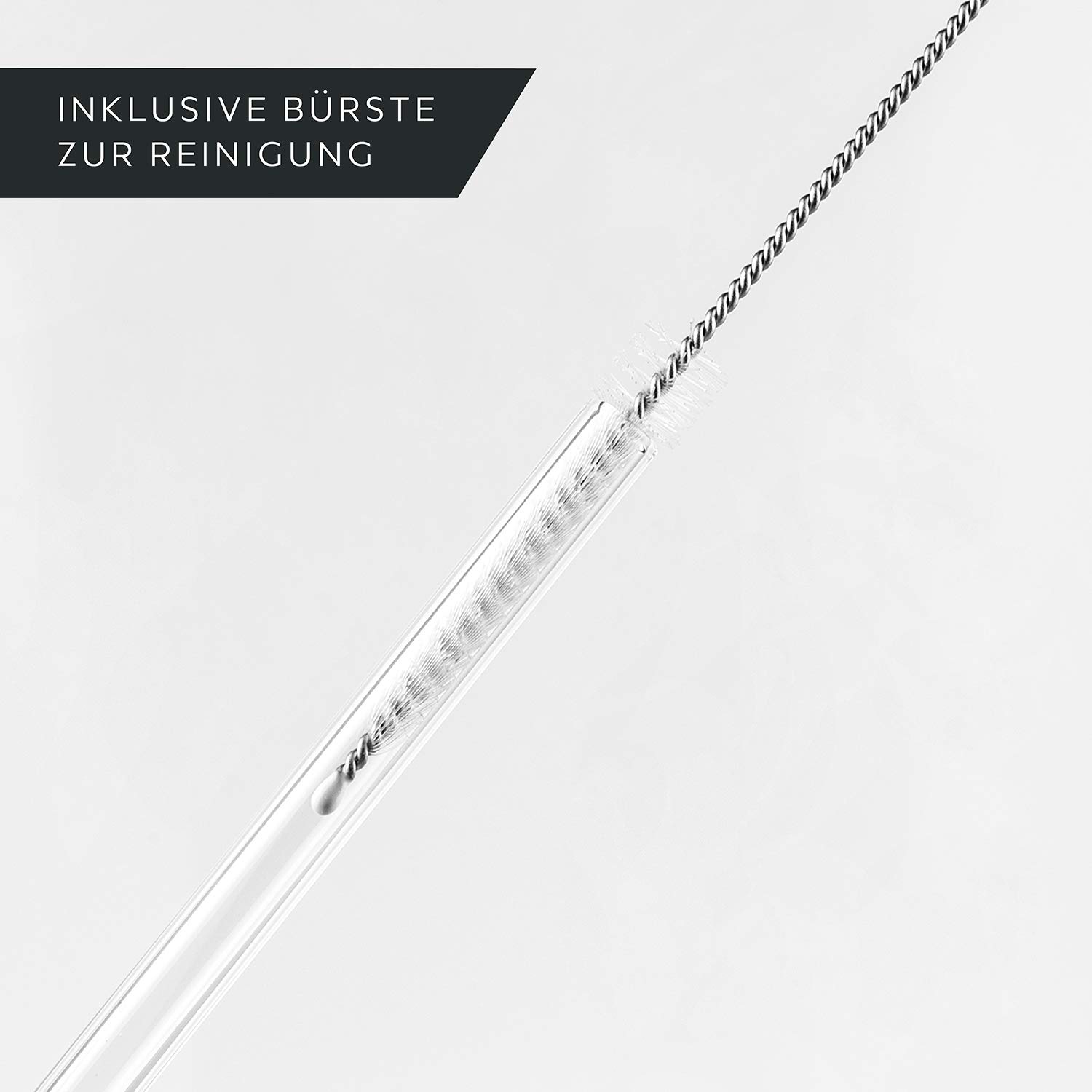 Rosenstein & Söhne 6 Pailles En Verre Borosilicate Avec Brosses De Nettoyage