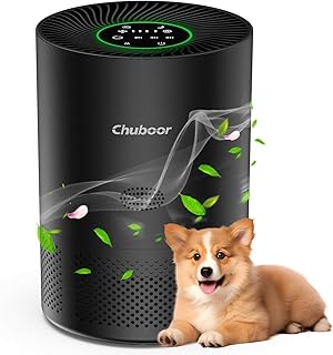 Purificateur d’air pour personnes allergiques, filtre à air HEPA contre les moisissures, la poussière et les poils d’anima…