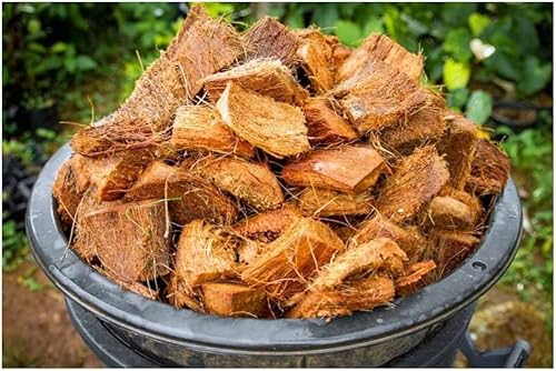 Miniatura 6 de Fibra de chips de cáscara de coco para orquídeas - Medios de cultivo finos - Chips de coco de pacas - 1 bolsa 17.64 oz