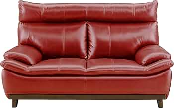 61YuGv2Q43L._AC_UF350,