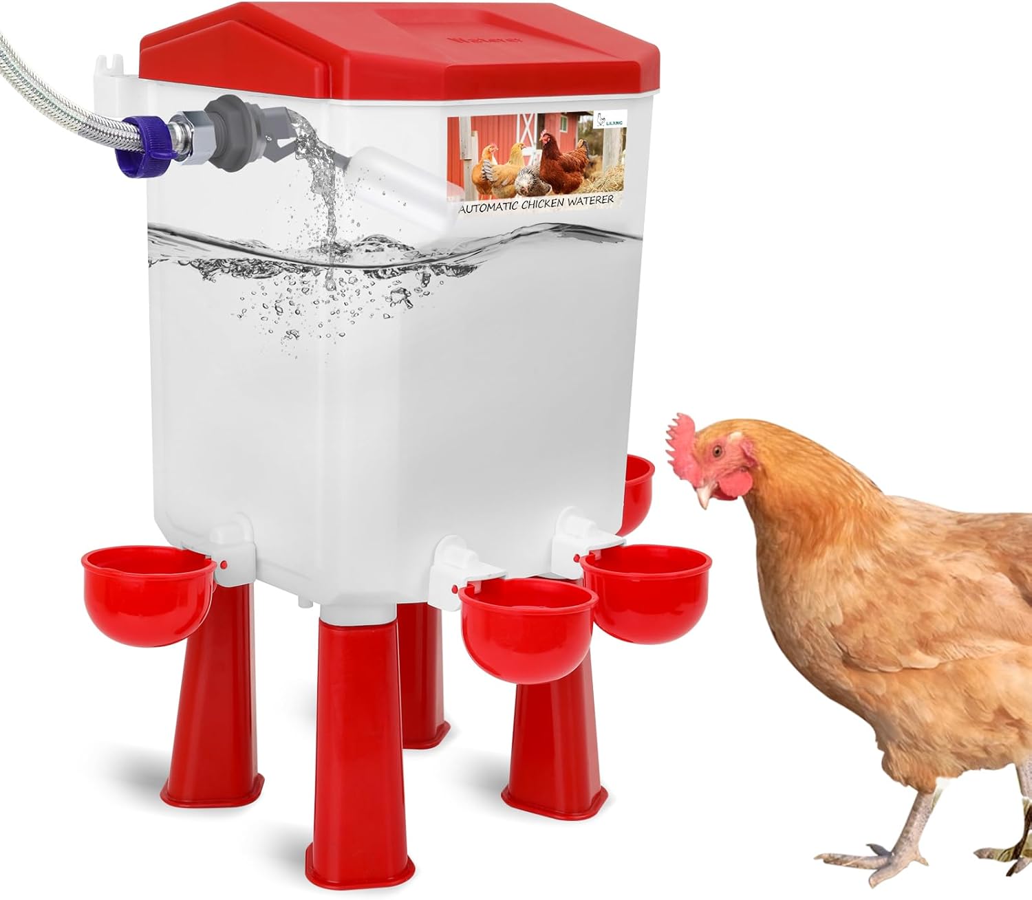 Lilyang Float-Controlled Automatic Chicken Waterer with 60 in Hose