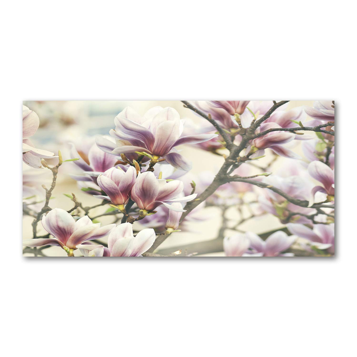 Image tableau photo décorative pour salon grand format verre magnolia rose 120x60