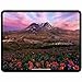 Apple iPad Pro 13-inch (M5): Ultra Retina XDR Display, 256GB, 12MP Front/Back Camera, LiDAR Scanner, Wi-Fi 7 with Apple N1 + 5G Cellular with C1X chip, Face ID, All-Day Battery Life — Silver