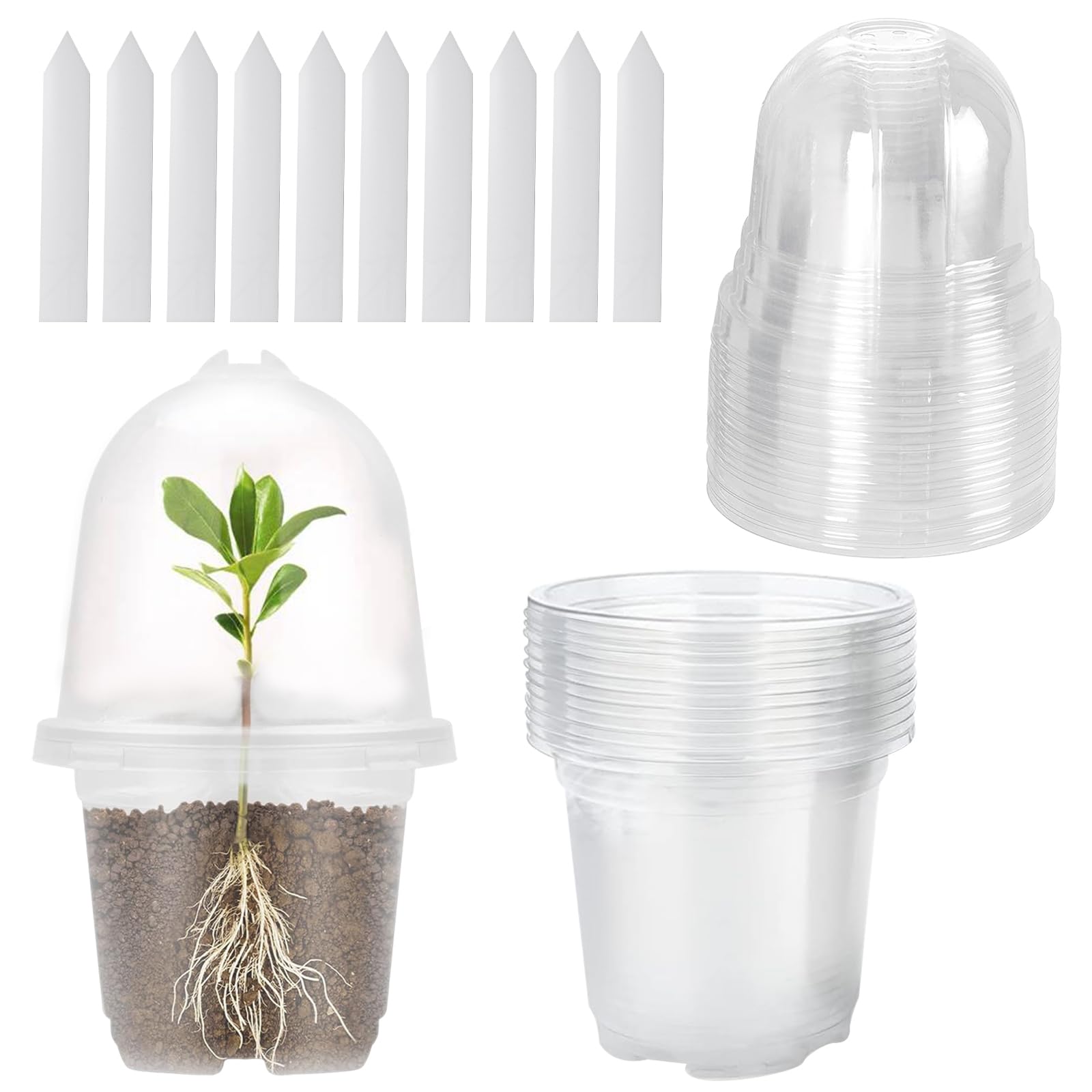 Vueinrg 10 Piezas Maceta Orquidea Transparente Ø 9cm Macetas Plastico Maceta para Orquídeas con Orificios de Drenaje+10 Planta Etiquetas para Plantas/Flores/Jardinería/Semillas/Egetales