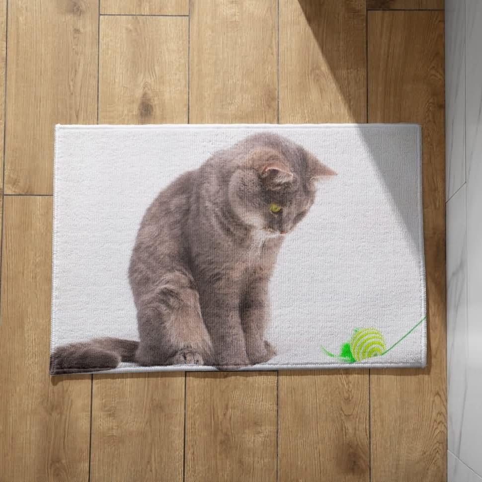 CEVAN Alfombra para la Puerta de Entrada Exterior Felpudo Entrada Casa Exterior Originales Gato Alfombra Antideslizante Felpudos Entrada Casa 50x80cm