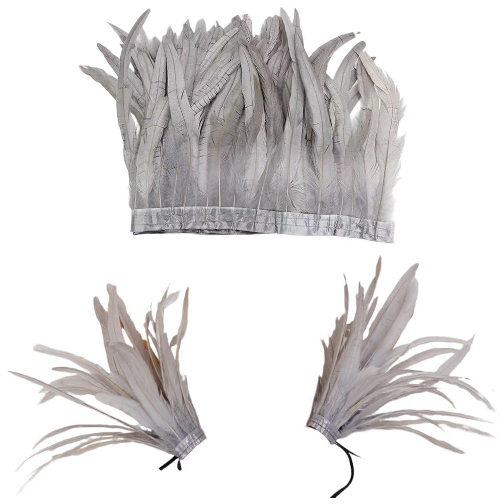 Costume gothique à plumes pour soirée cosplay et fête d'Halloween
