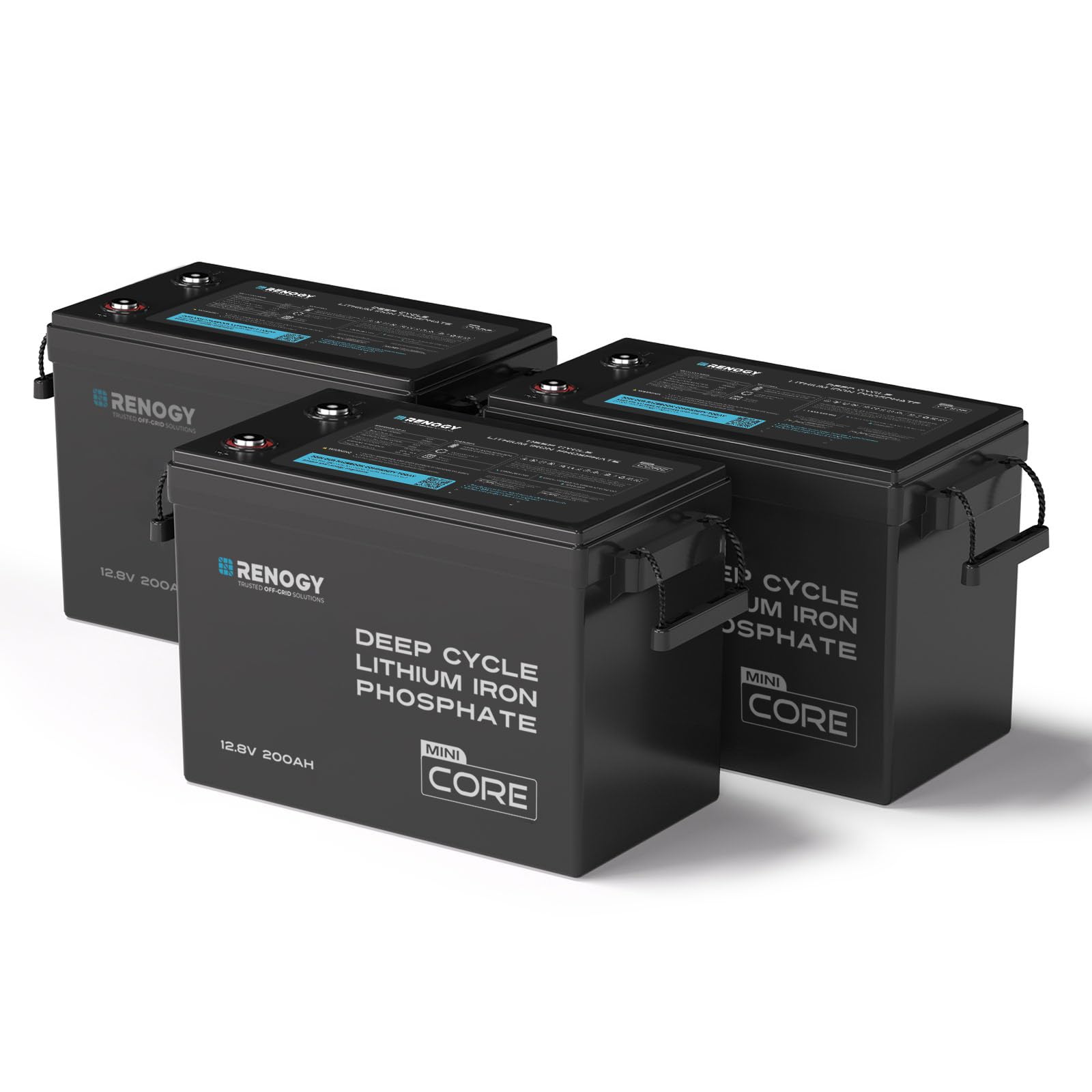 Renogy 12V 200Ah LiFePO4 Lithium Battery, Mini Size 100A BMS RV Boat 3PCS