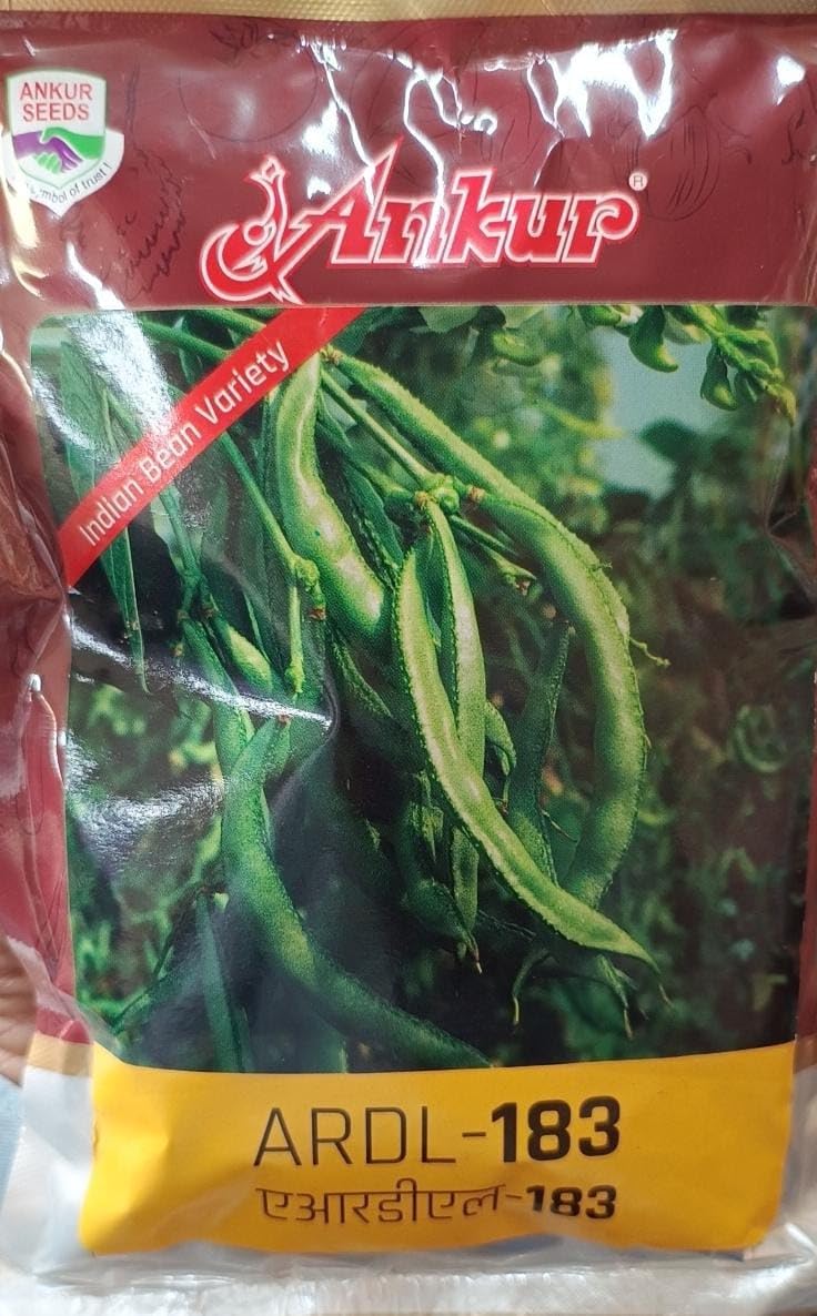Bean seeds ARDL-183 250gm : Amazon.in: Garden & Outdoors