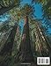 Redwood National and State Parks Travel Guide 2025: Journey Through California's Ancient Sentinels, Scenic Spots, and Coastal Hiking Trails from ... States & South American National Park Series)