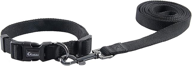 Olahibi Basic Dog Collar Leash Set,Durable Nylon Collar and 5ft Matching Lead for Small Dogs.(S, Black Set)