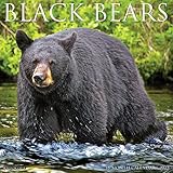 blackbeards berlin Black Bears 2023 Wall Calendar