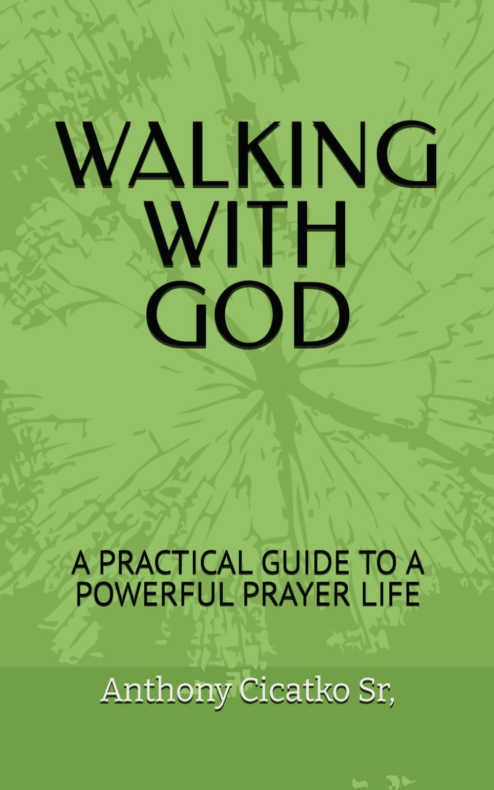 WALKING WITH GOD: A PRACTICAL GUIDE TO A POWERFUL PRAYER LIFE (DEEP DIVE INTO THE BIBLE)