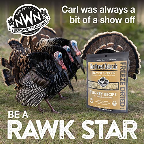 Northwest Naturals Raw Rewards Freeze Dried Nuggets - Dinner for Dogs (Turkey)12 OZ - Image 8