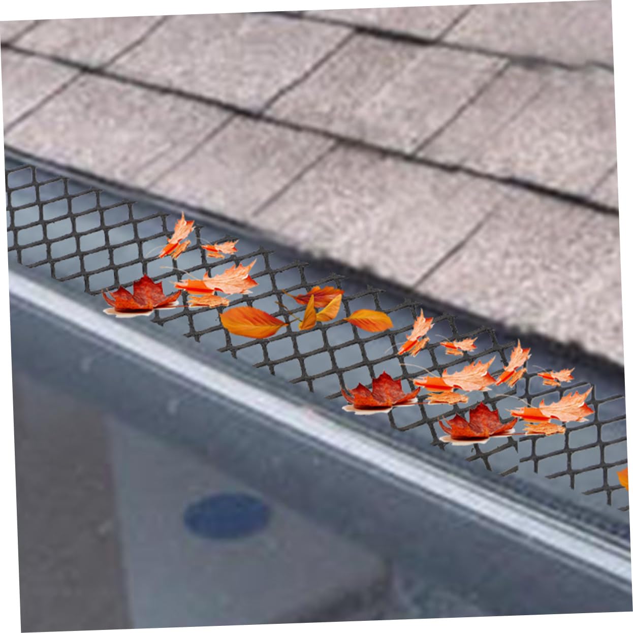 BESPORTBLE Ski Board Protector Ski Protection Mesh Skinning Snowboarding Gear Durable Pe Materials