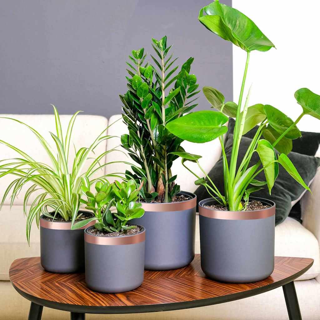 Cinta de cobre de 30 mm x 20 m, adhesivo de doble cara con adhesivo fuerte, fungicida, producto fitosanitario para jardín, césped, invernadero, planta de interior, árbol de frutas, verduras