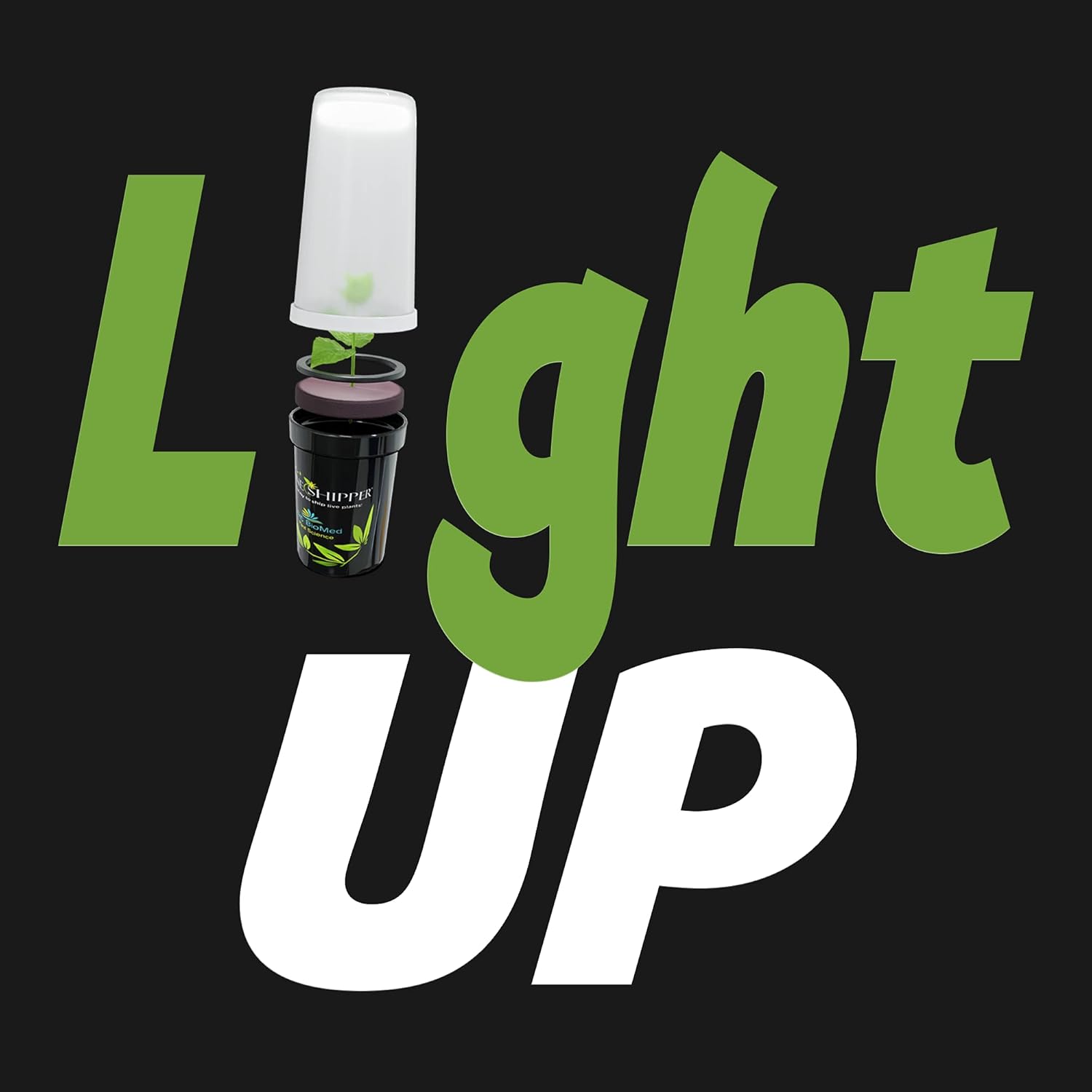 Plastic Shipping Container Young Live Plants LED Light | 6 Count