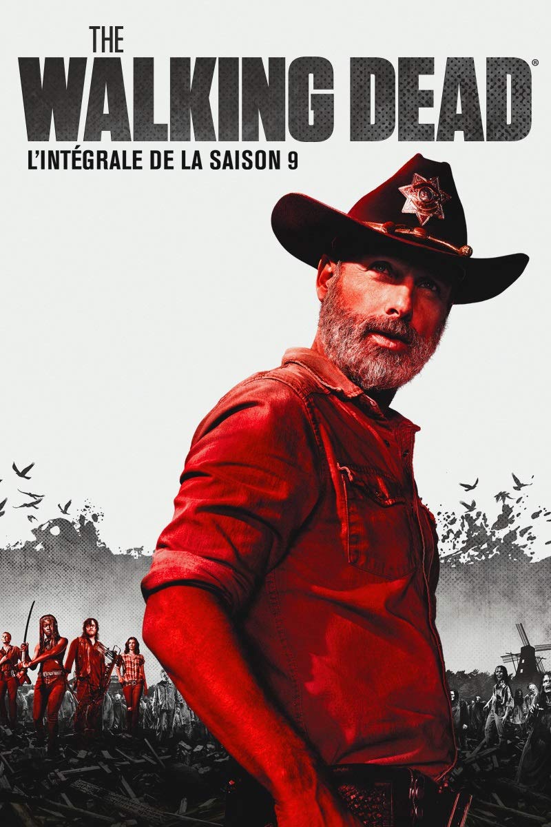 The Walking Dead - L'intégrale de la saison 9 [Blu-ray]