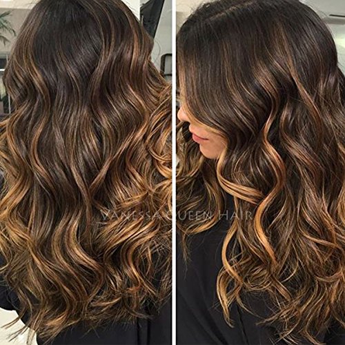 Maycaur Brown Blonde Mixed Color Full Lace Human Hair Wigs Long Wave Lace Front Wigs With Baby Hair 150 Density (14Inch, lace front wig) Maycaur Brown Blonde Mixed Color Full Lace Human Hair Wigs Long Wave Lace Front Wigs With Baby Hair 150 Density (14Inch, lace front wig)