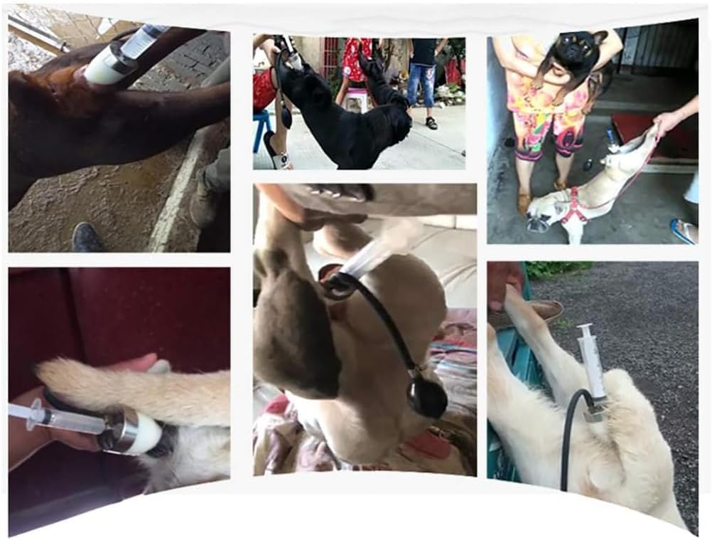 Künstliche Besamungsset Für Hunde, Samen-Booster, Test Für Künstliche Besamungsspritze Aus Silikon Für Hunde Großer Und Kleiner Rassen, Professionelle Künstliche Besamungsspritze Für Hunde
