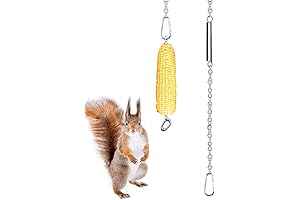 Hanging Squirrel Feeder: A Delightful Treat for Furry Friends