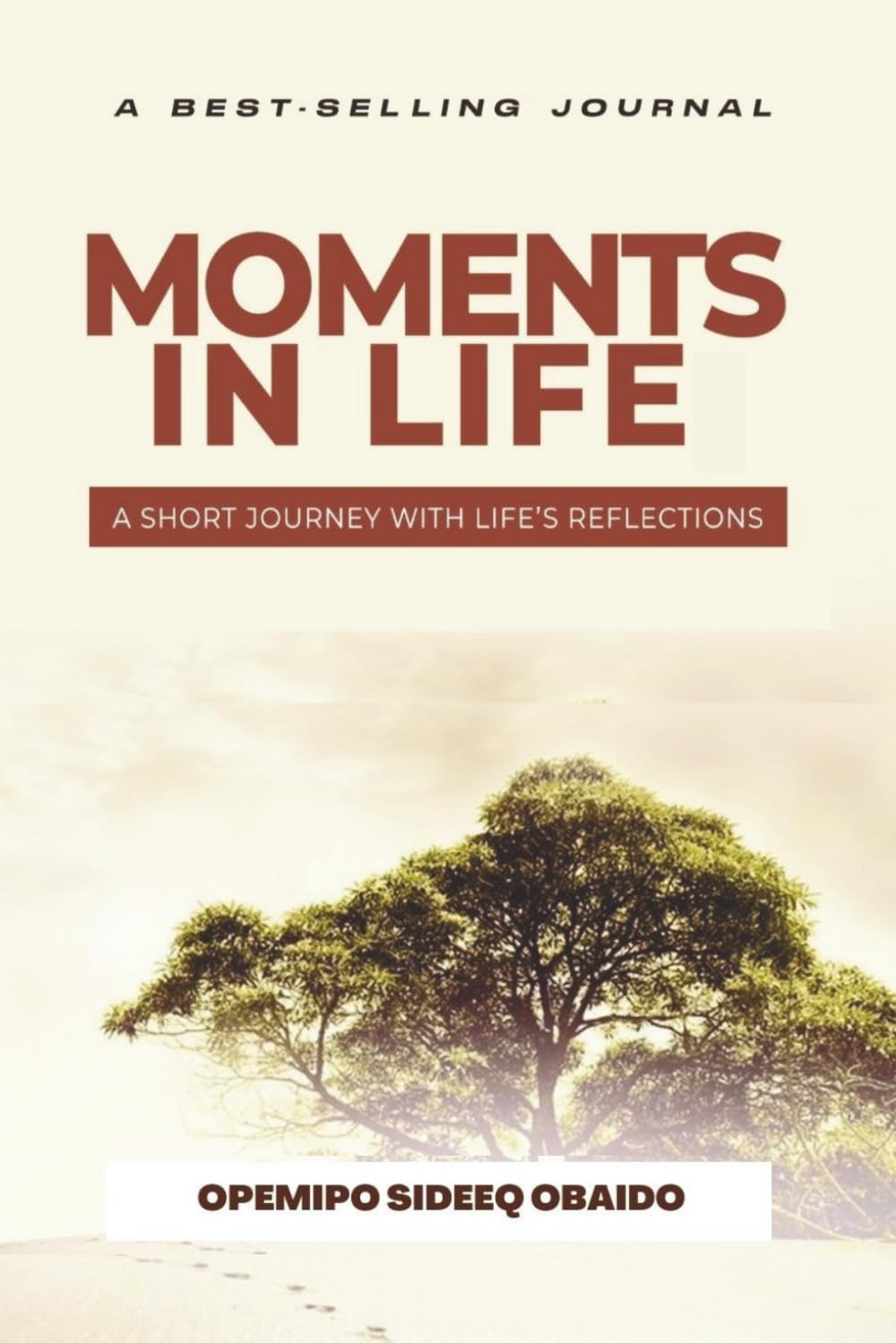 Moments in Life: A Short Journey with Life's Reflections