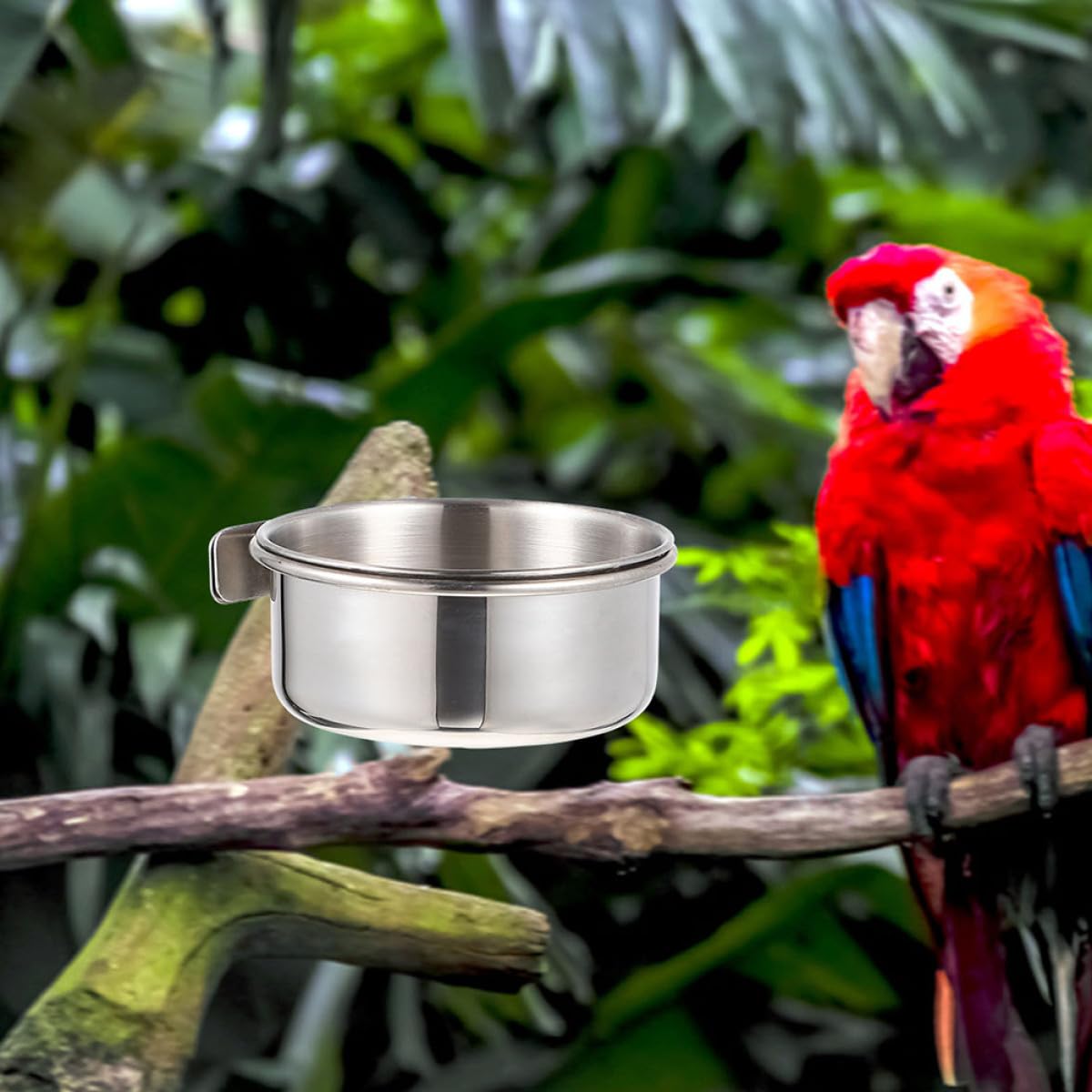 PLAFOPE Vogelfutternapf aus Edelstahl, 4 Stück, Herausnehmbar, Rostfrei