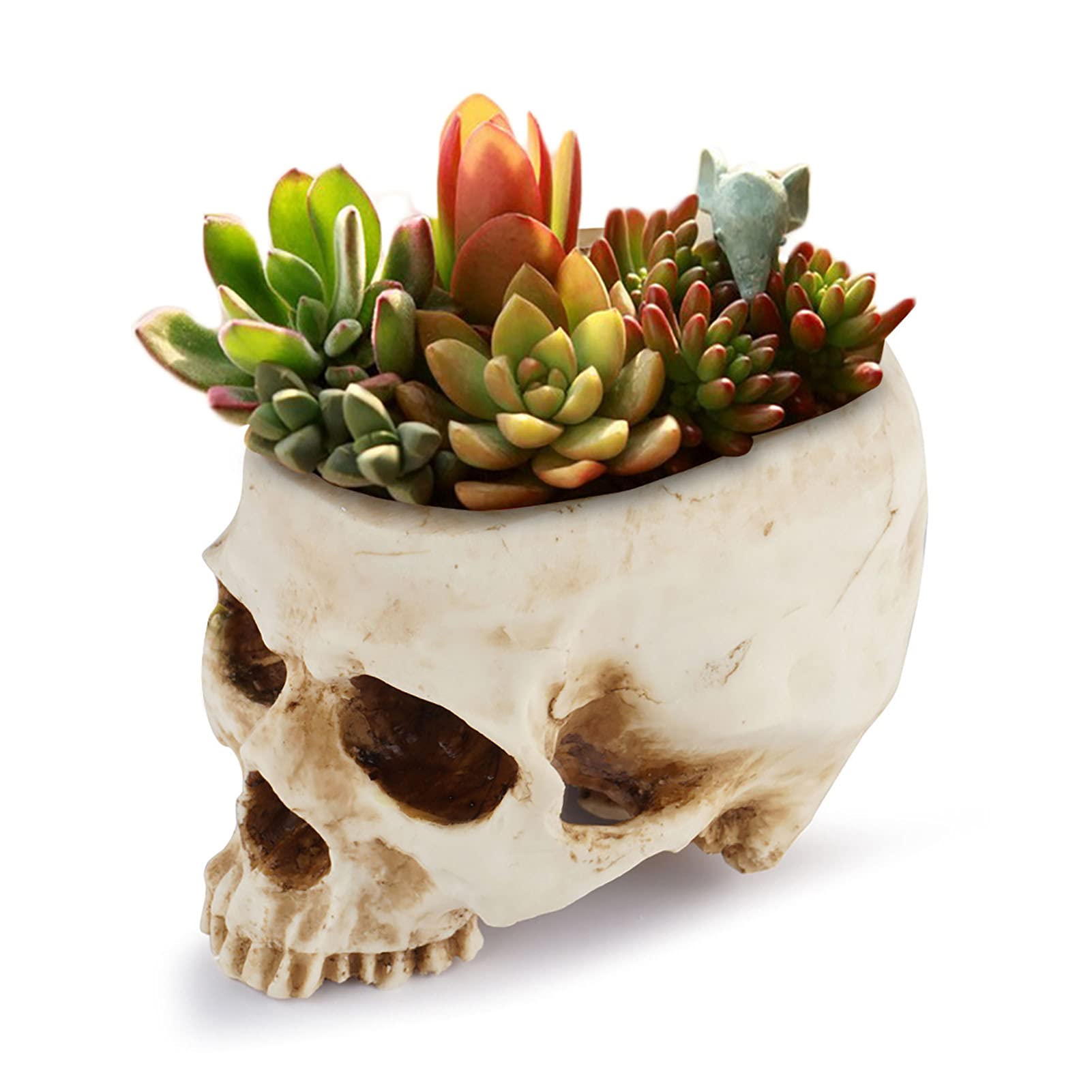 CONTENITORE DI FIORE Vaso Di Fiori Giardino Fioriera Contenitore EUR 17