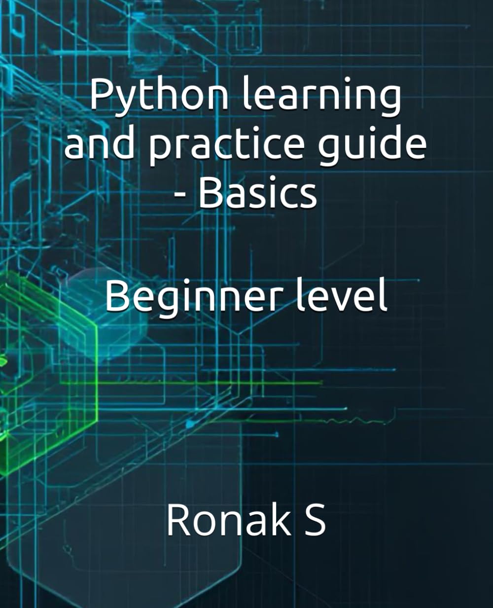 Python learning and practice guide - Basics: Beginner level