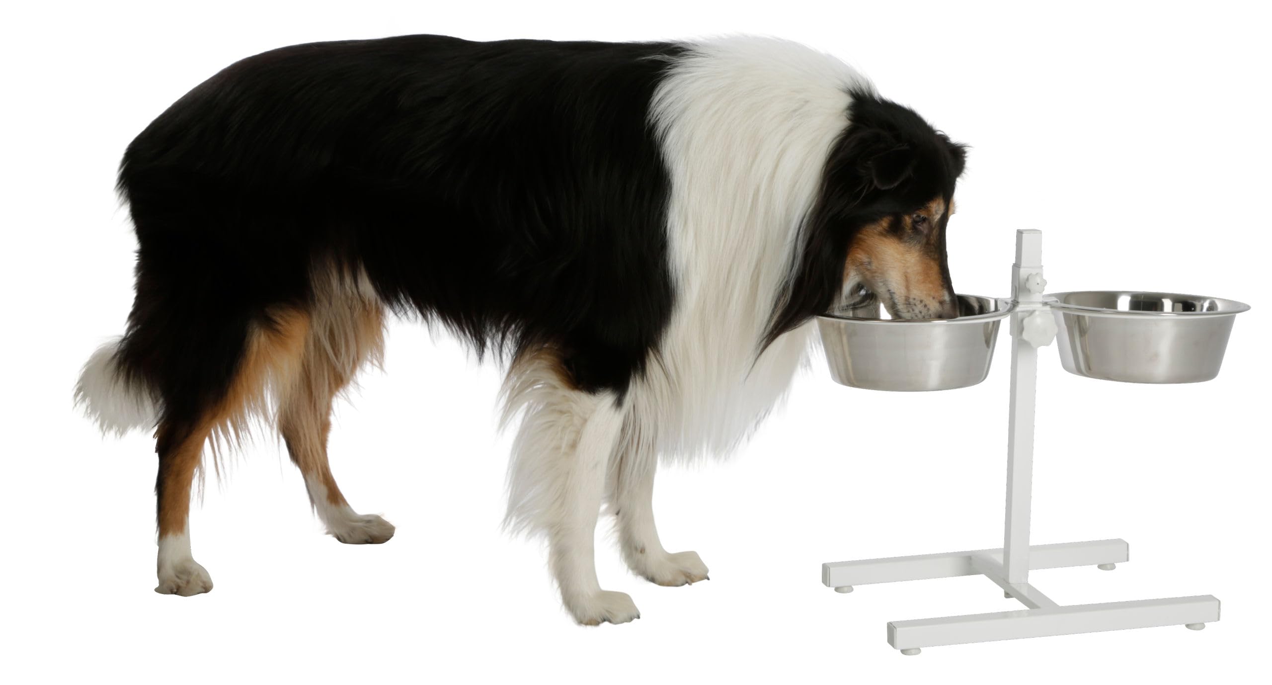 Kerbl gamelle pour Chien, Blanc, 54x27x43 cm, 2x2800 ML, Cadre en Acier, 2 gamelles en Acier Inoxydable, Hauteur réglable en continu, gamelle surélevée