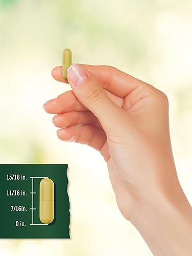 Miniatura 8 de Carlyle Suplemento de curcumina de cúrcuma de 2400 mg  400 cápsulas en polvo  Complejo sin OMG, sin gluten  Tahoe Naturals