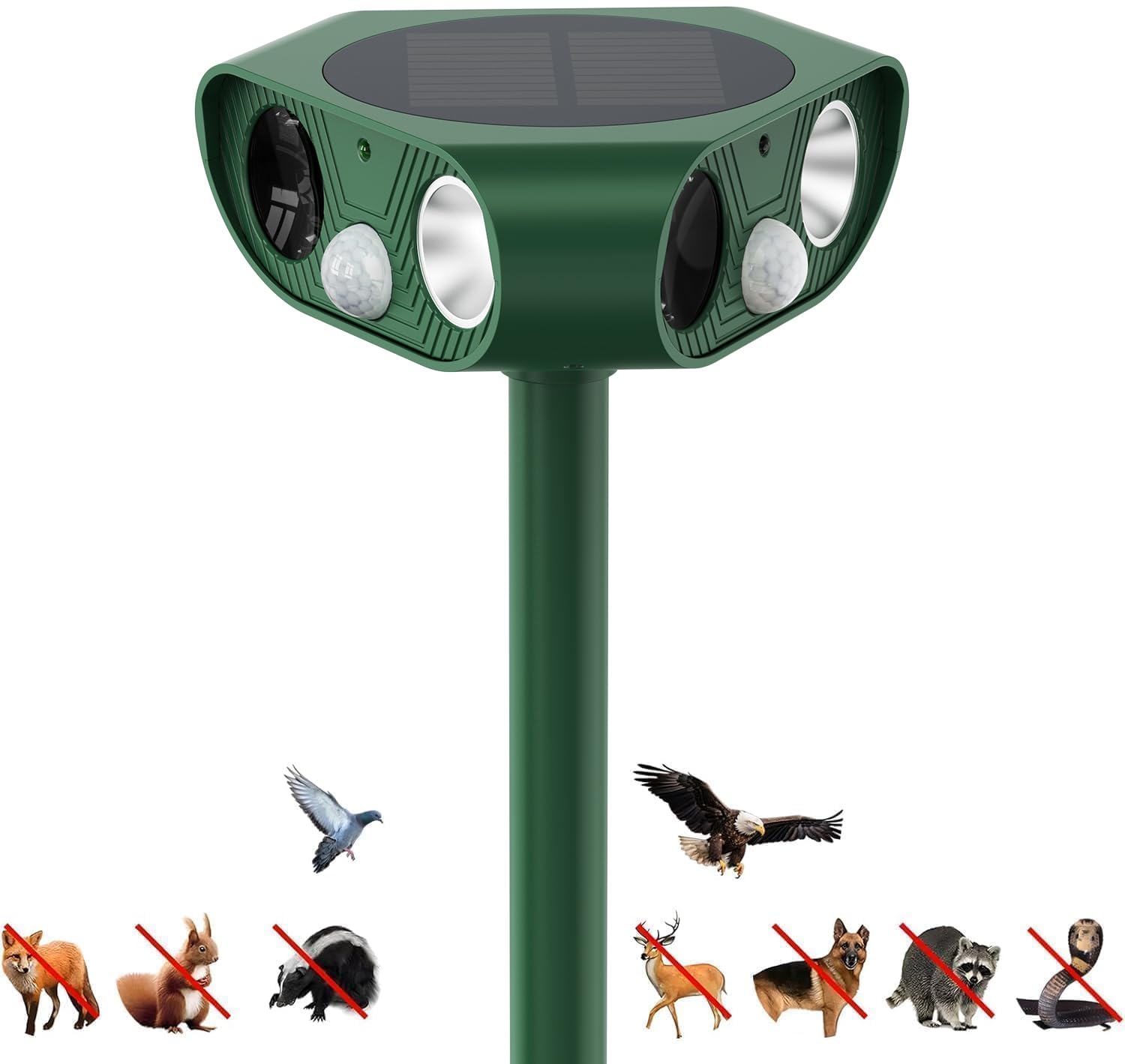 répulsif chat extérieur solaire 360°